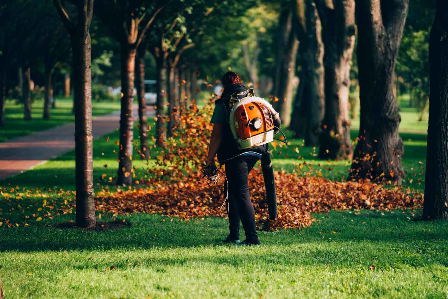  Livonia, MI TreeGuard Tree Service Pros